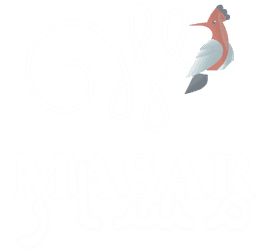 masar icon